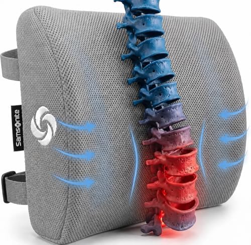 Samsonite Memory Foam Lumbar Support Pillow by Unknown