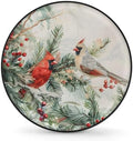 Spare Tire Cover for RV Trailer, Winter Cardinal Tire Covers Universal Fit for by Unknown