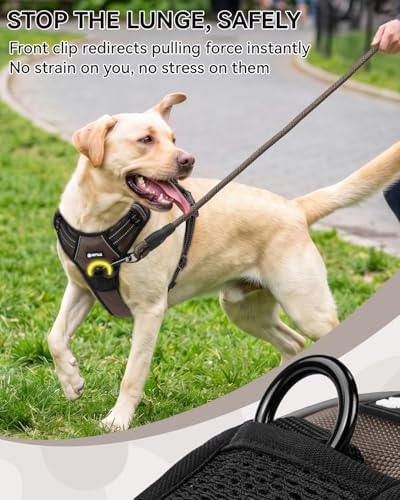 Joytale No Pull Dog Harness & Seat Belt, Easy On 3-Buckle - Image 4