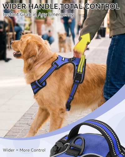 Joytale No Pull Dog Harness & Seat Belt, Easy On 3-Buckle - Image 5