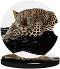 Black Leopard Car Coasters for Cup Holders, Absorbent Car Coaster for Women by CRASHOT