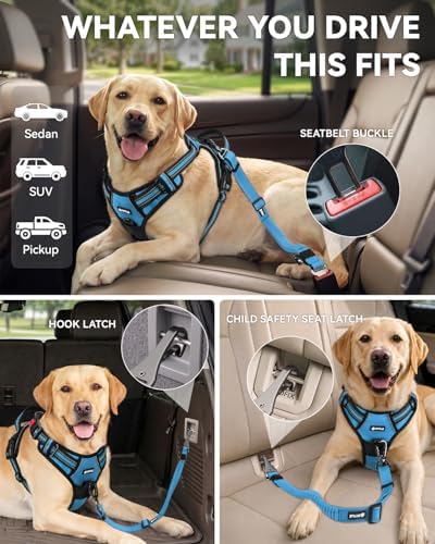 Joytale 3-in-1 Bungee Dog Seat Belt - Image 2
