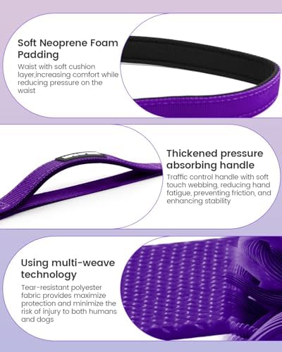 Hands Free Dog Leash - Image 4