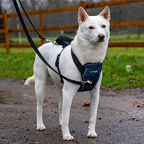 CarSafe Crash Tested Dog Safety Harness | Size M - Image 3