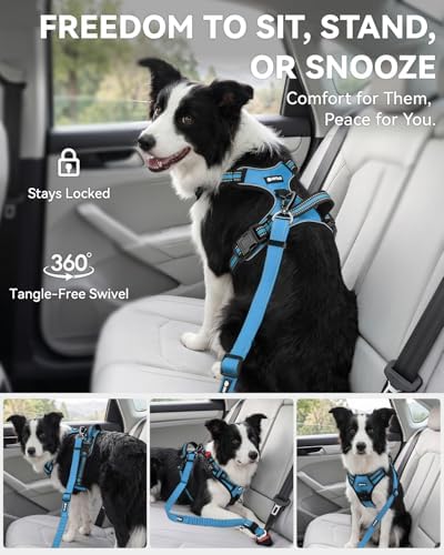 Joytale 3-in-1 Bungee Dog Seat Belt - Image 5