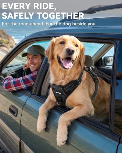Joytale 3-in-1 Bungee Dog Seat Belt - Image 4