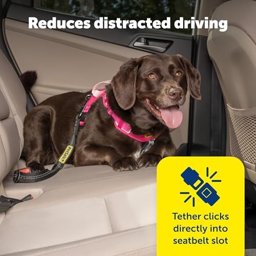 PetSafe Safety Seatbelt Dog Tether - Image 2