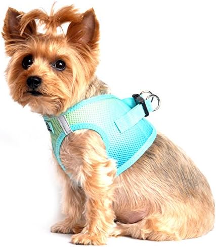 American River Dog Harness Ombre Collection - Image 4