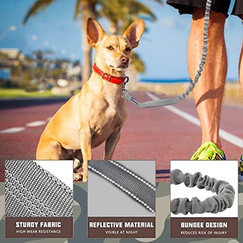 AUROTH Bungee Dog Leash for Large Dogs, No Pull for Shock Absorption - Image 2