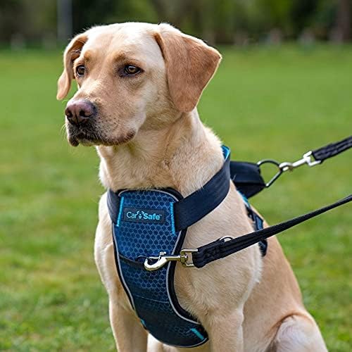 CarSafe Crash Tested Dog Safety Harness | Size L - Image 3
