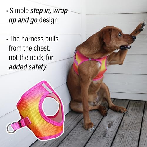 Doggie Design Dog Harness - Image 4