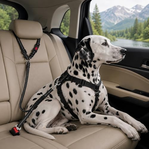 2-in-1 Dog Seat Belt for Car - Image 7