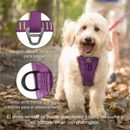 Kurgo Enhanced Strength Tru-Fit Smart Harness, Deep Violet - Image 4