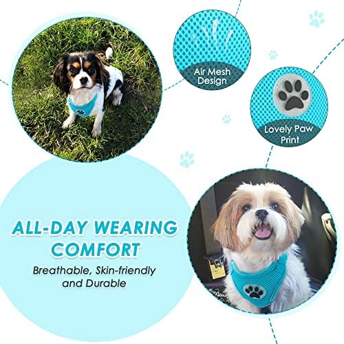 Lukovee Dog Car Harness Seat Belt, Harness & Seatbelt - Image 2