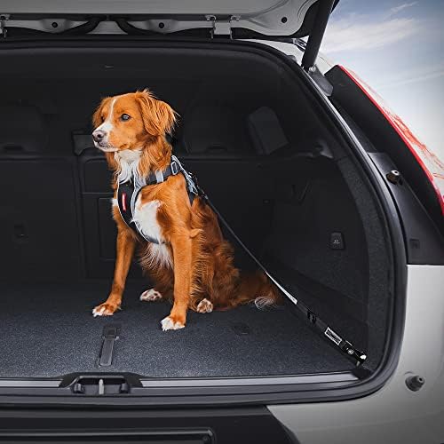 EzyDog Click ISOFIX Standard - Image 5