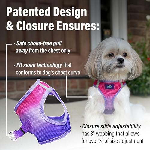 Doggie Design Dog Harness - Image 4