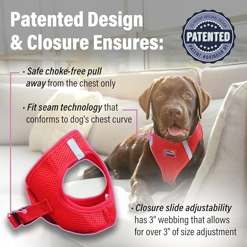 Doggie Design Dog Harness - Image 3