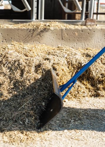 VES 30" Barn Scraper, Poly Blade, Curved Gripped Handle - Image 2