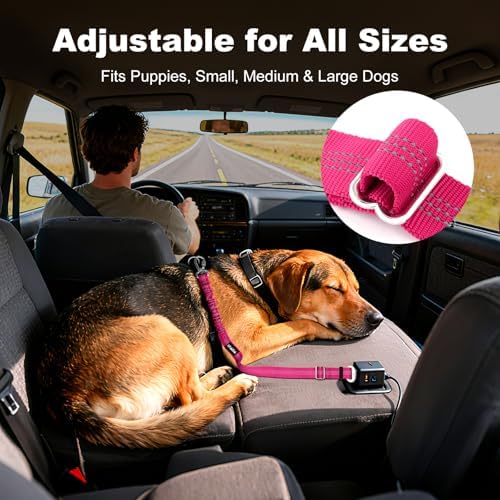 Dog Seat Belt for Car, Car Harness - Image 4