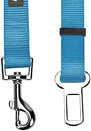 Blueberry Pet Dog Leash - Image 2