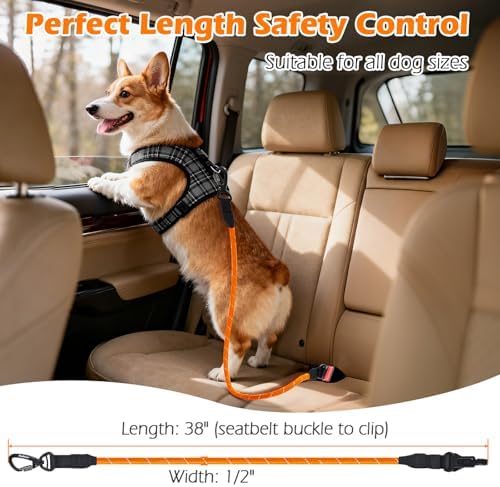 PetBonus Dog Seat Belt for Car, Durable Rope Dog Car Harness for Vehicle - Image 4