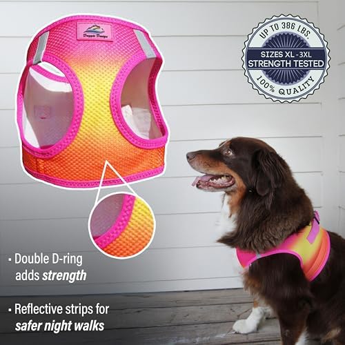 Doggie Design Dog Harness - Image 4