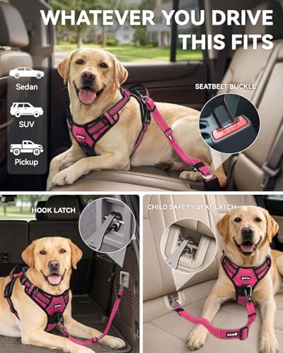 Joytale 3-in-1 Bungee Dog Seat Belt - Image 2