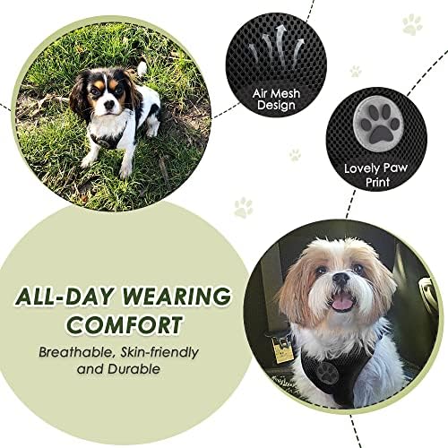 SlowTon Dog Seat Belt and Harness - Image 5