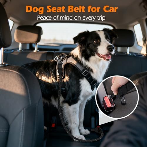 PetBonus Dog Seat Belt for Car, Durable Rope Dog Car Harness for Vehicle - Image 3