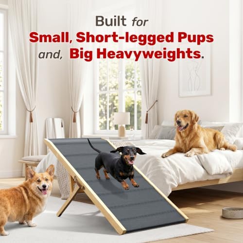 Foldable Dog Ramp for Couch - Image 2