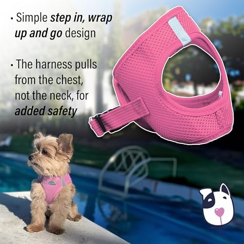 Doggie Design Dog Harness - Image 5
