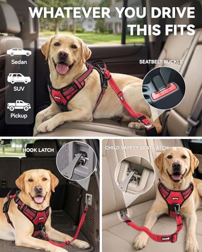 Joytale 3-in-1 Bungee Dog Seat Belt - Image 2