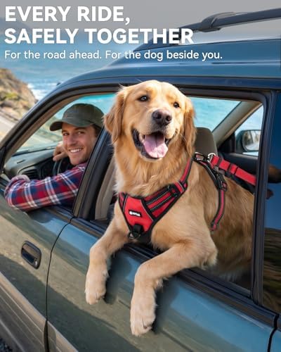Joytale 3-in-1 Bungee Dog Seat Belt - Image 4