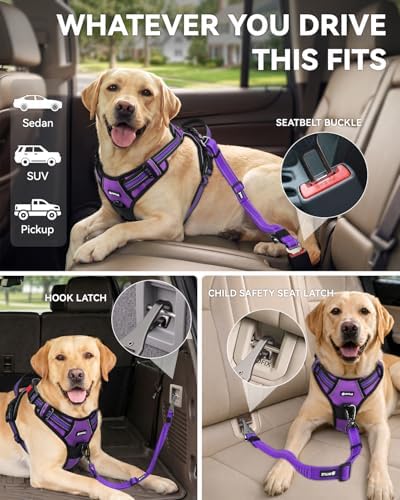 Joytale 3-in-1 Bungee Dog Seat Belt - Image 2