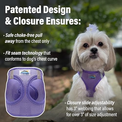 Doggie Design Dog Harness - Image 2