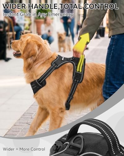 Joytale No Pull Dog Harness & Seat Belt, Easy On 3-Buckle - Image 5