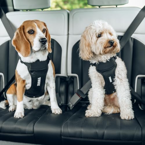Thule Cappy Dog Harness S, Seatbelt Passthrough, Leash Loop, Step-in Design - Image 5