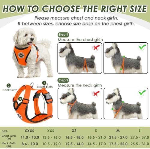 SlowTon Dog Seat Belt and Harness - Image 5
