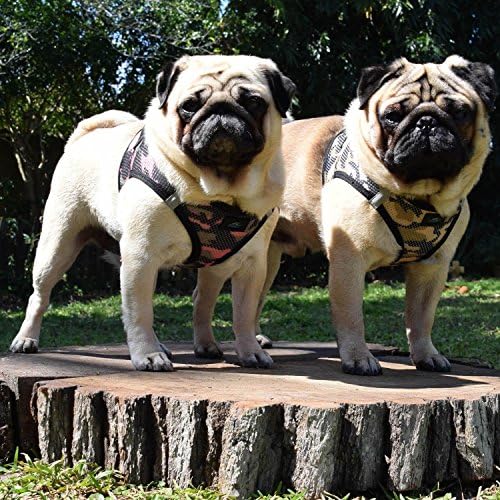 Doggie Design No Choke Dog Harness - Image 3