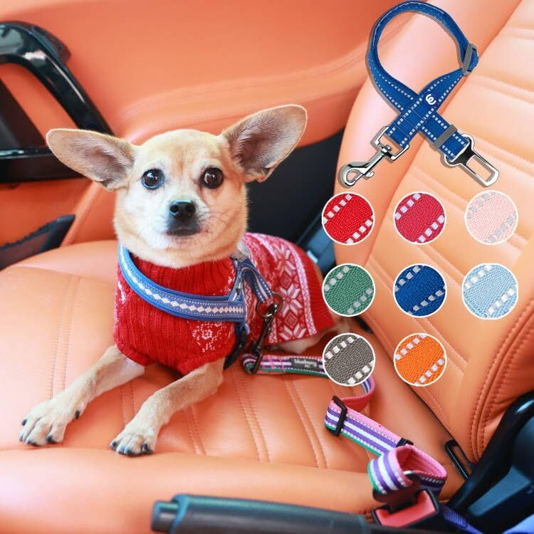 Blueberry Pet Essentials Pastel Color Reflective Dog Seat Belt Tether, Very - Image 2