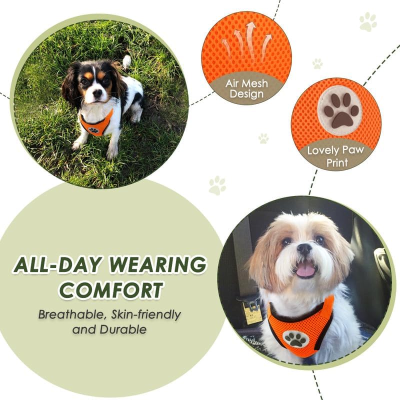 SlowTon Dog Seat Belt and Harness - Image 4