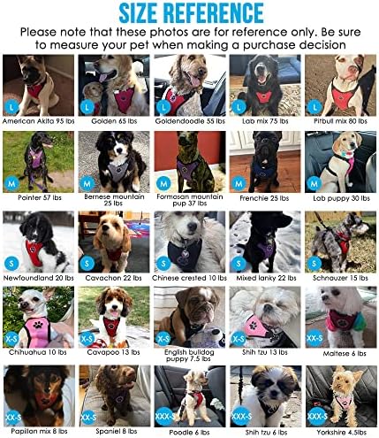 Lukovee Dog Car Harness Seat Belt, Harness & Seatbelt - Image 6