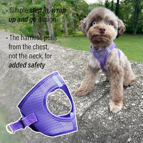 Doggie Design Dog Harness - Image 4