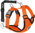 SlowTon Dog Seat Belt and Harness by SlowTon